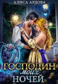 Обложка книги "Господин моих ночей"