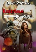 Обложка книги "Идеальный муж"