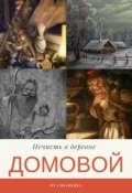 Обложка книги "Домовой"