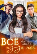 Обложка книги "Всё из-за неё"