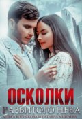 Обложка книги "Осколки разбитого неба"