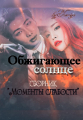 Обложка книги "Обжигающее солнце"