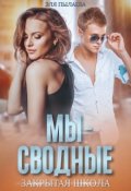 Обложка книги "Мы - сводные"