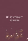 Обложка книги "По ту сторону зримого"