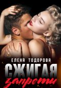 Обложка книги "Сжигая запреты"