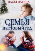 Обложка книги "Семья на Новый год"