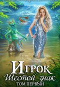 Обложка книги "Игрок. Шестой знак. Том 1"