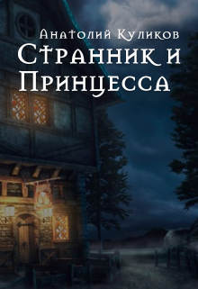 Принцесса и Странник. Книга про путников фэнтези. Путник с книгой.