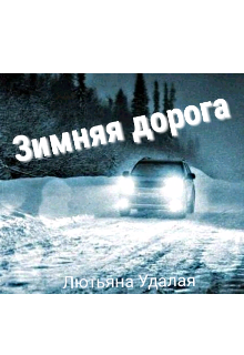 Зимняя дорога читать