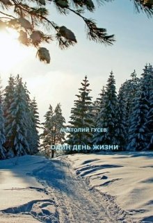 Обложка книги Один день жизни