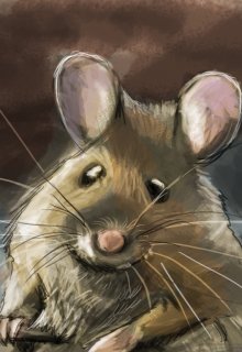 Серая мышь читать полностью. Книга серая мышка фэнтези. Из серой мыши в красотку.