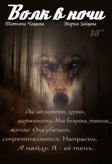 Обложка книги Волк в ночи