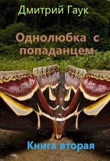 Обложка книги Однолюбка с попаданцем