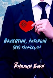 Обложка книги Валентин, который (не) попал
