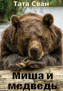 Обложка книги Миша и Медведь