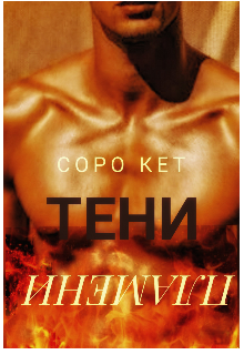 Огонь читать. Тень огня книга. Сара Тисдейл пламя и тень. Номер пламя в жанре ремни.