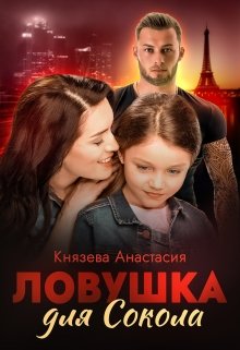 

Ловушка для Сокола