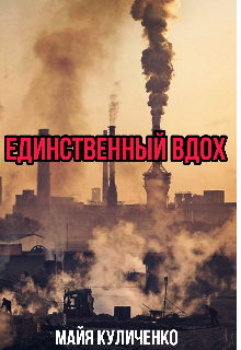 Единственный вдох книга.