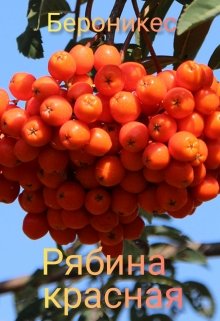 

Рябина красная