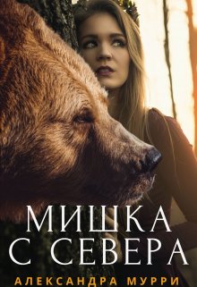 Обложка книги Мишка с севера