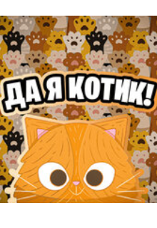 

да я котик