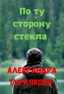 

По ту сторону стекла